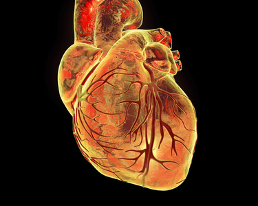 Cardiac Complications of Clozapine Treatment – Assessment and Management