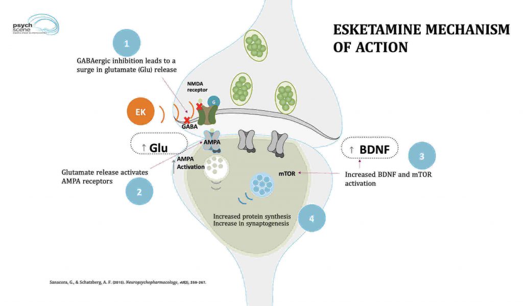 Intranasal Esketamine – Psychopharmacology, Side effects and Clinical Appl...