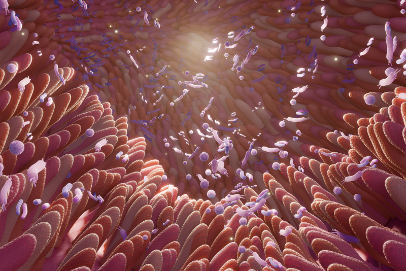 Gut Microbiome and Depression